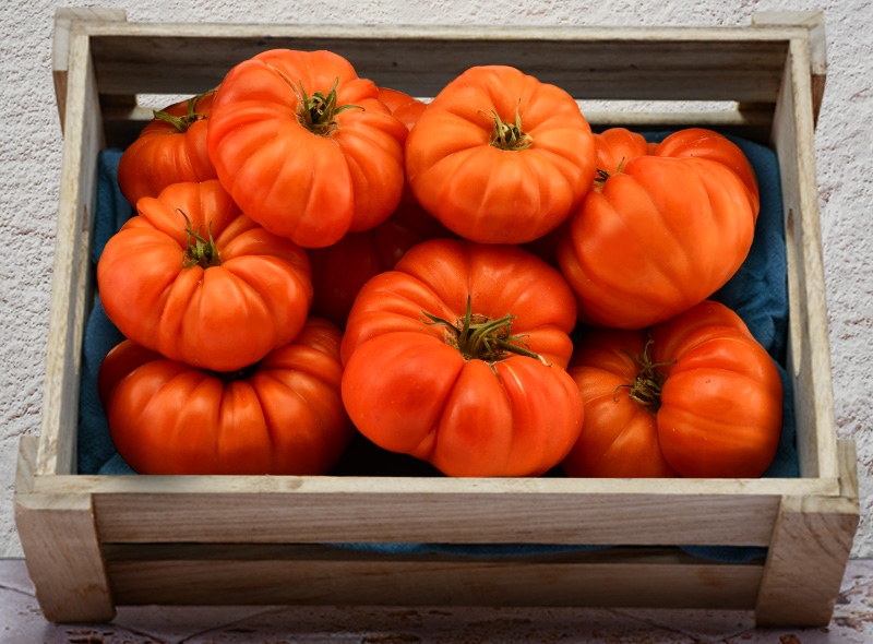 Les Jardins du Petit Depot Tomate Marmande -1kg