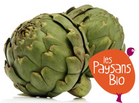 Les Paysans Bio Artichauts BIO 2 légumes -300g