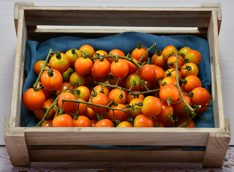 Les Paysans Bio Tomates cerise grappe BIO -250g