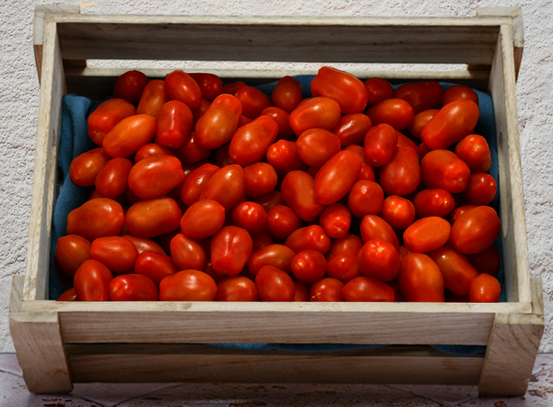 Les Paysans Bio Tomate cerise allongée BIO Sachet vrac -250g