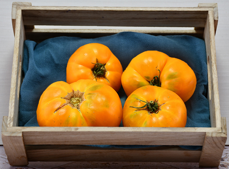 Bio Rungis Tomates anciennes Orange Queen Sachet vrac -700g