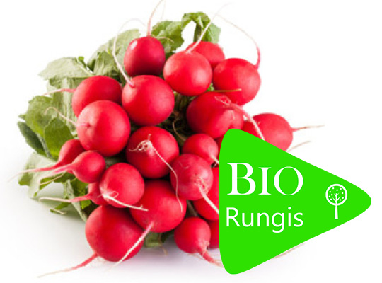 Bio Rungis Radis rouge rond BIO Sachet vrac 1 botte