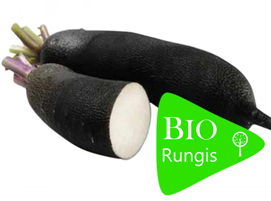 Bio Rungis Radis noir BIO Sachet vrac -500g