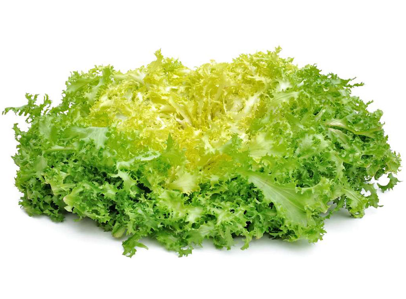 Bio Rungis Salade frisée BIO 1pc