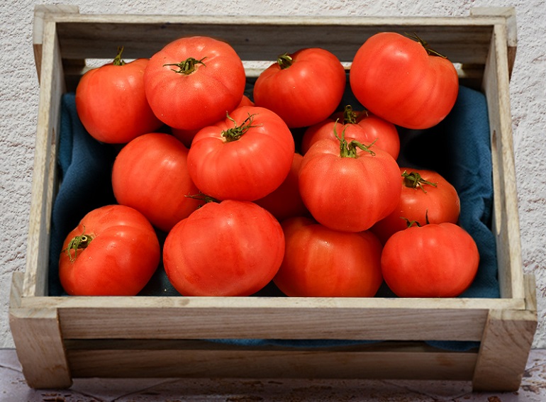 Les Paysans Bio Tomates anciennes Rose de Berne BIO -1 kg