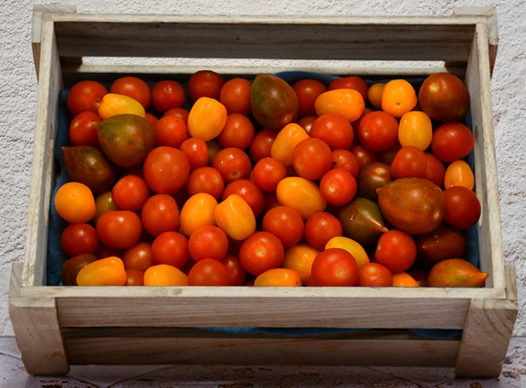 Les Paysans Bio Tomates cerises multicolores BIO -250g