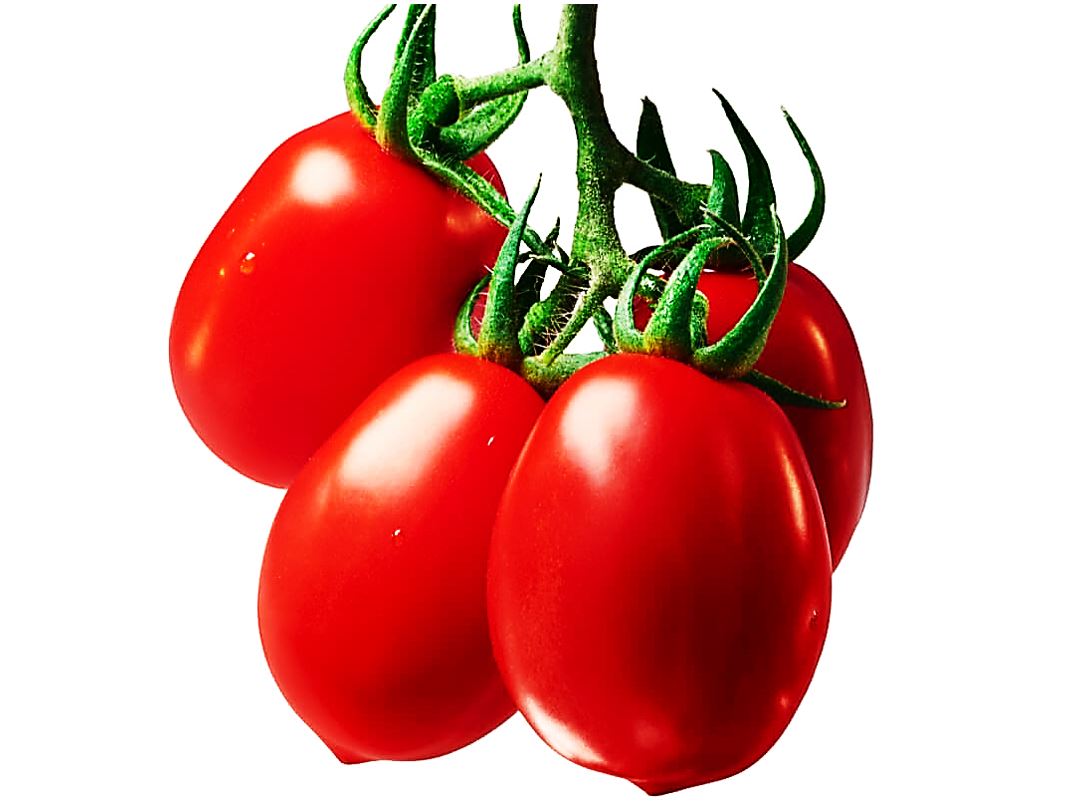 Les Jardins du Petit Depot Tomate Roma 500g