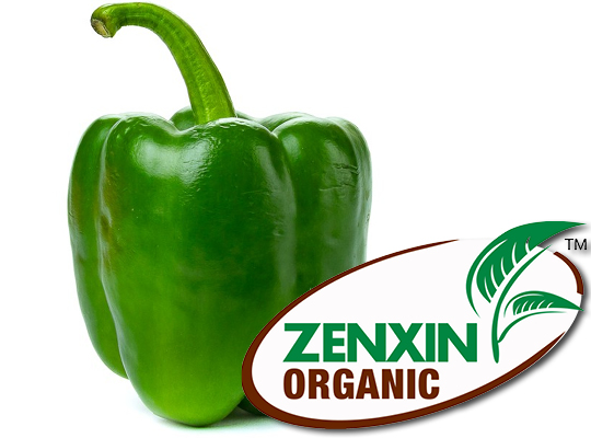 ZenXin Poivron vert BIO -180g 1pc
