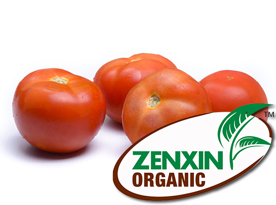 ZenXin Tomate BIO -500g